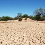 No hay agua, Valle Fértil sufre una de las peores sequías en muchos años